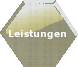 Leistungen