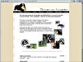 Screenshot: Berner Sennenhunde vom Lenzgraben - Schwandorf